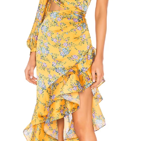 Hanna Gown - Picture 3 of 4